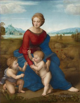 Virgen de Belvedere Virgen del Prato Maestro renacentista Rafael Pinturas al óleo